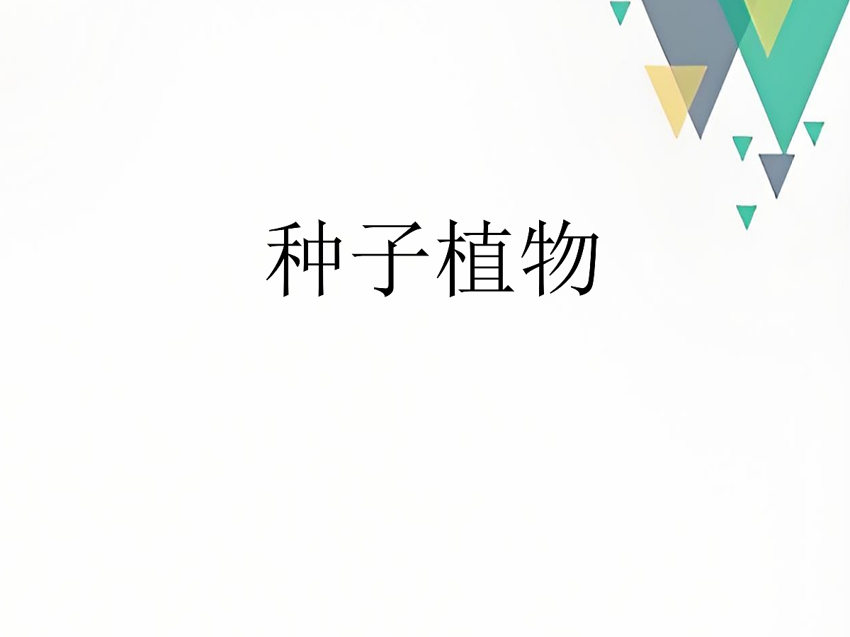 18060169第1页
