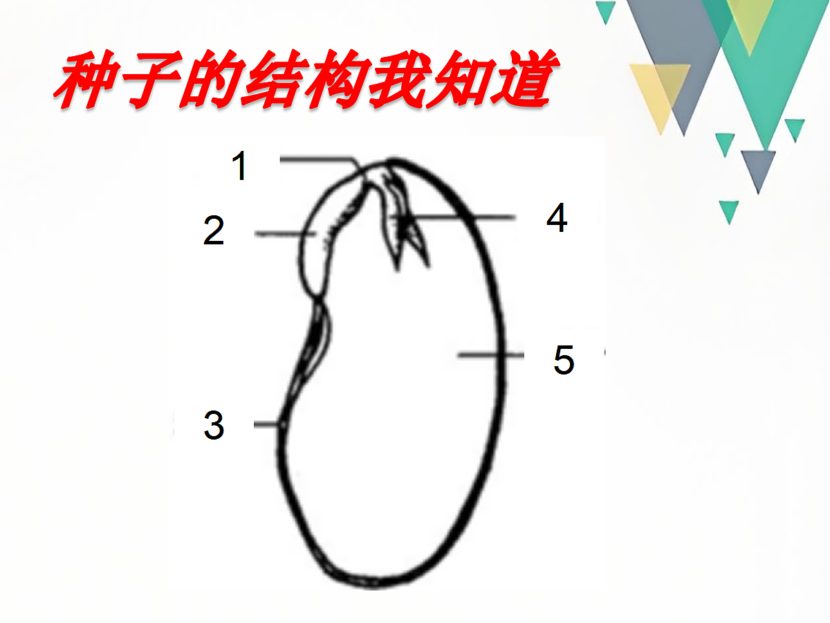 18060169第5页