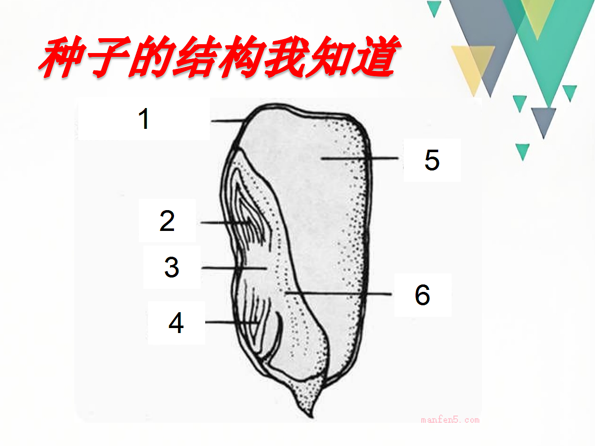 18060169第6页