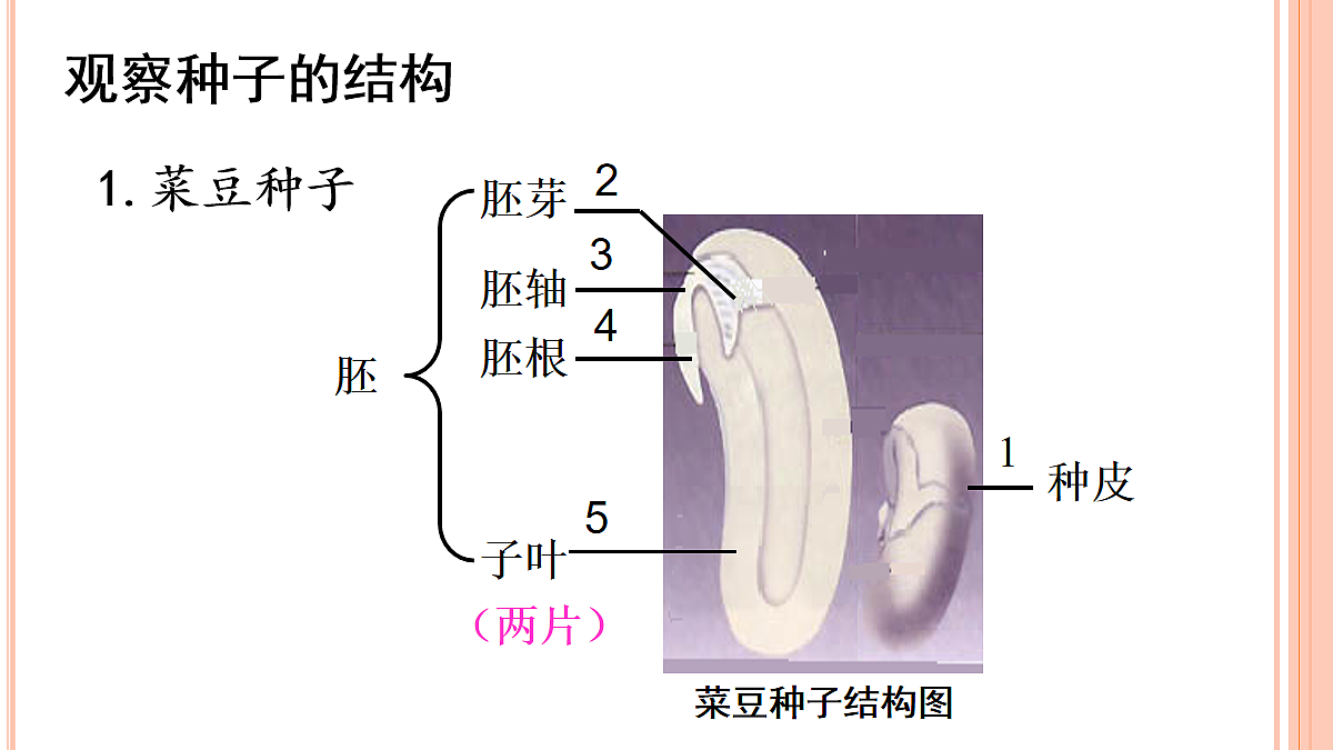 18060170第8页