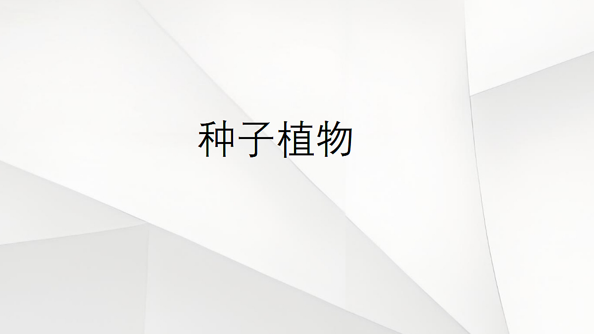 18060174第1页