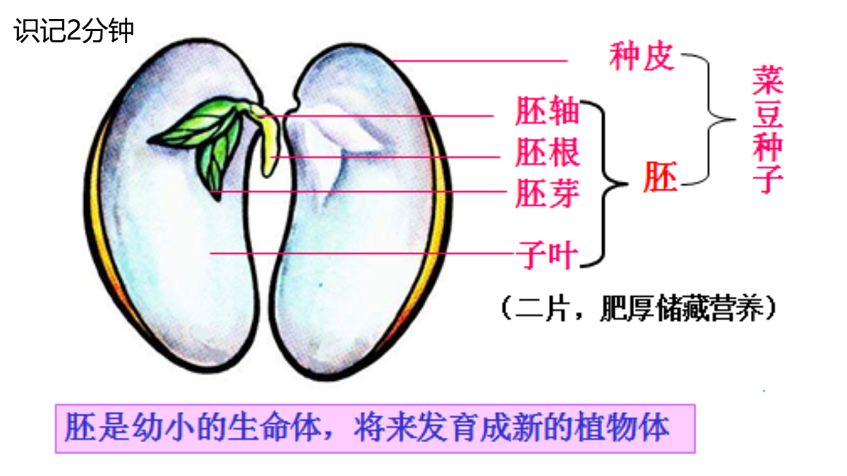 18060174第7页