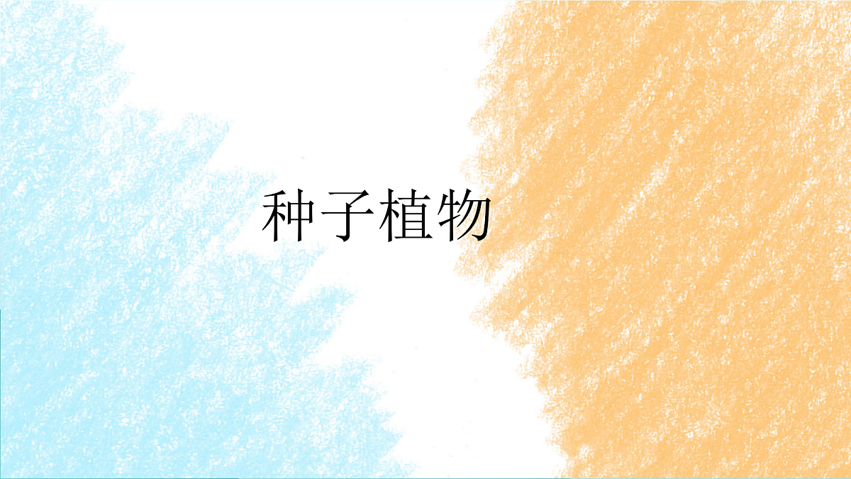 18060175第1页