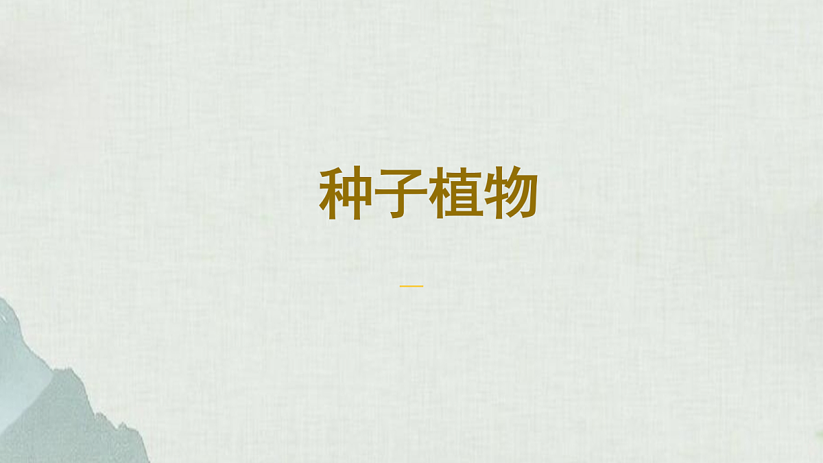 18060176第1页