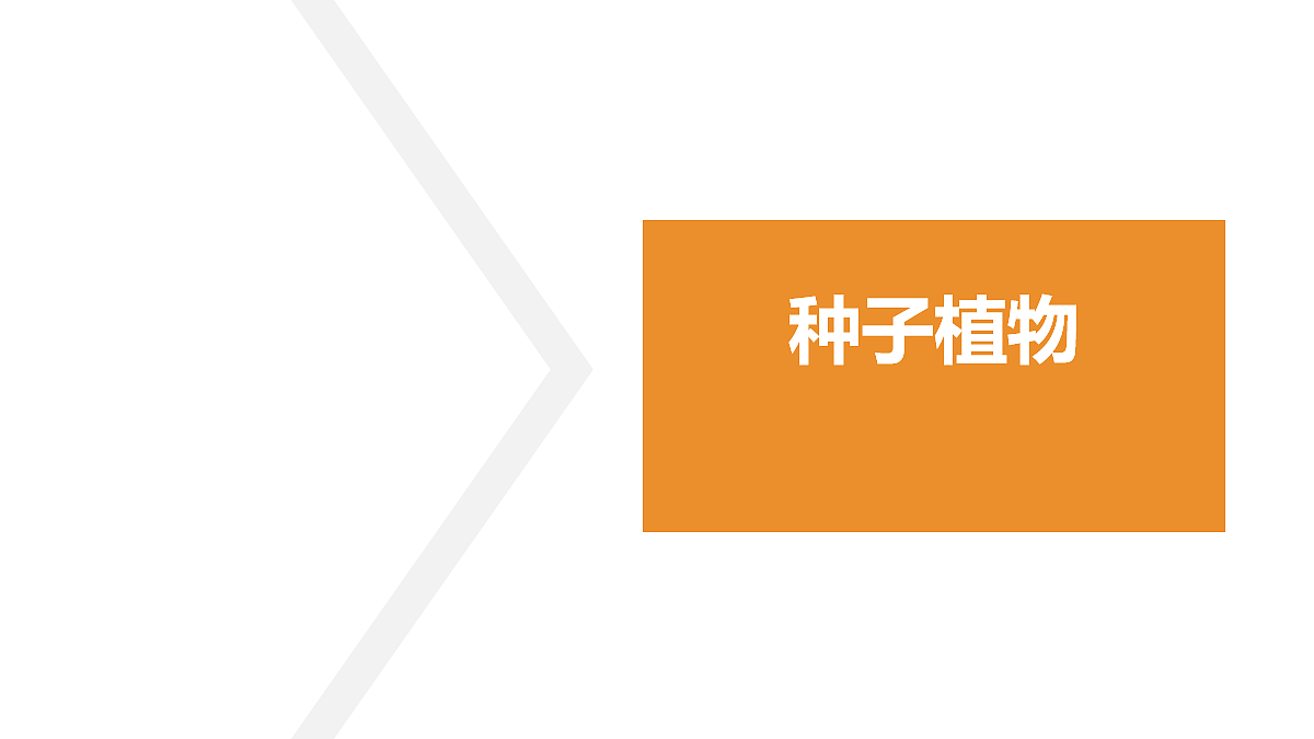18060178第1页