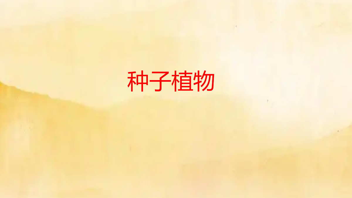 18060183第1页