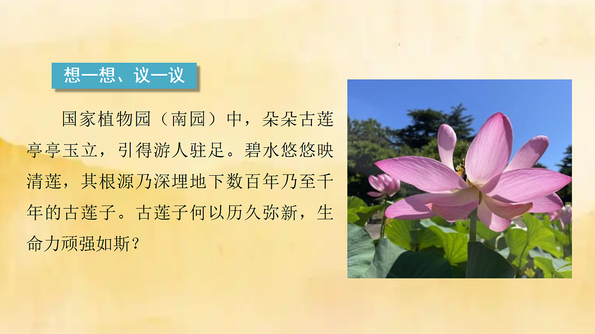 18060183第4页