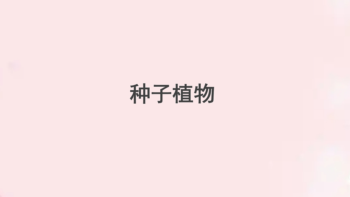 18060184第1页