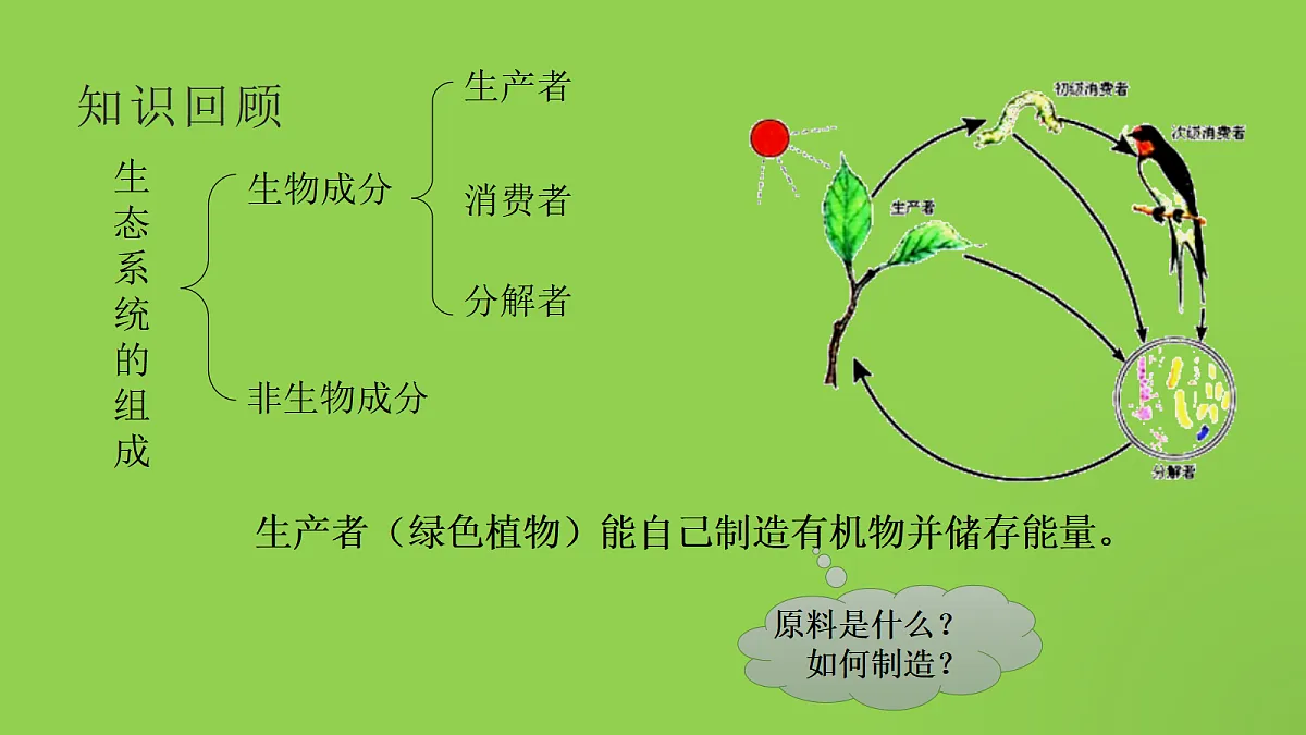 18060195第2页