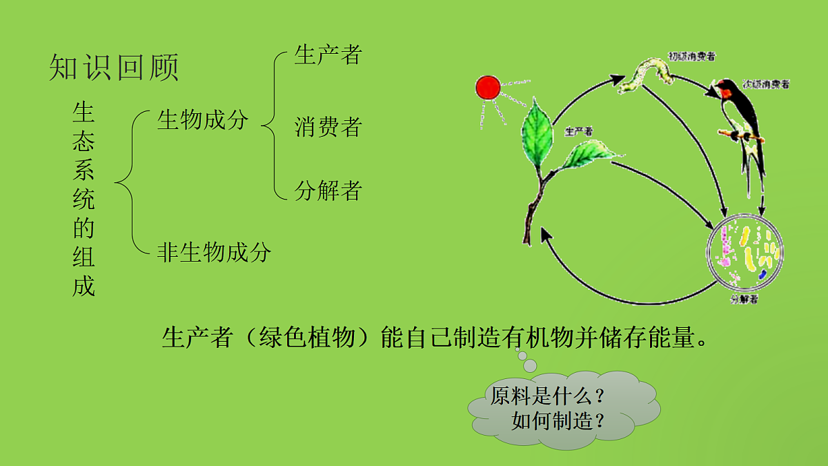 18060195第2页