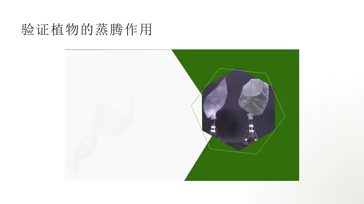 18060198第7页