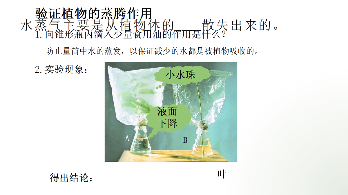 18060198第8页