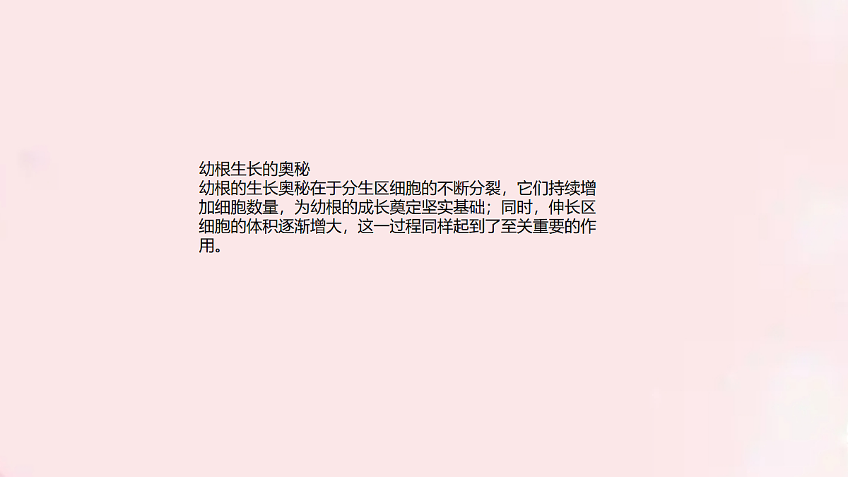 18060209第4页