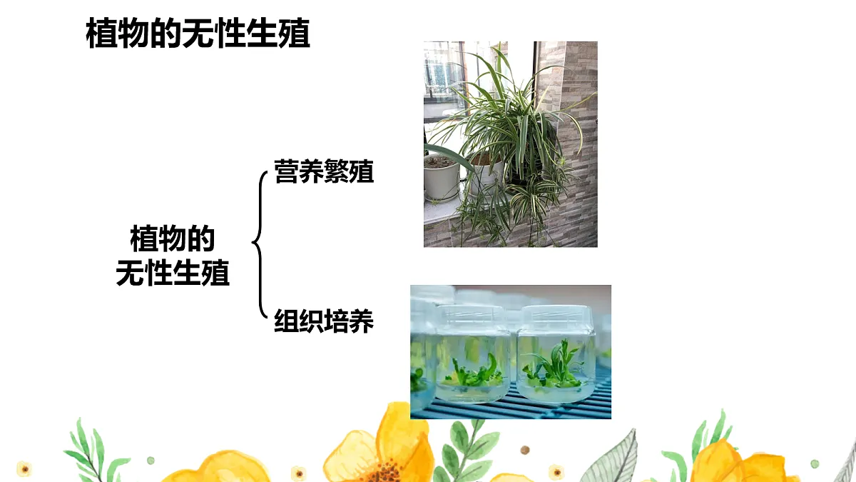 18060213第8页