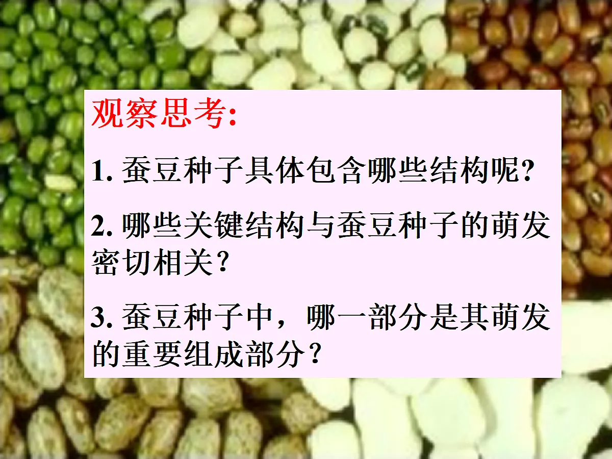 18060214第4页