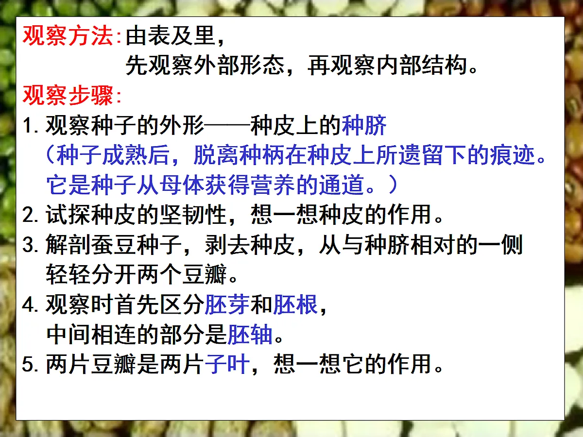 18060214第5页