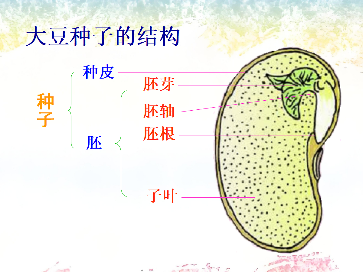 18060215第5页