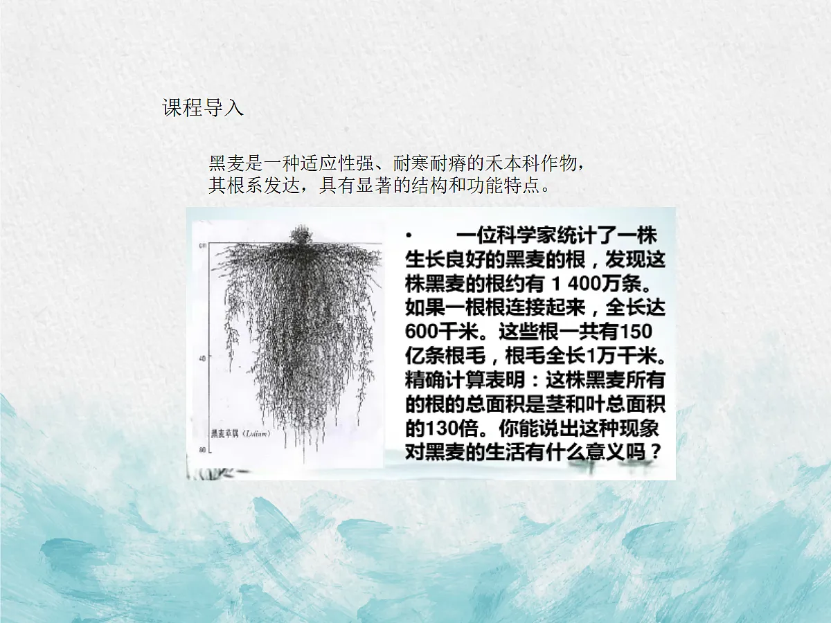 18060216第3页