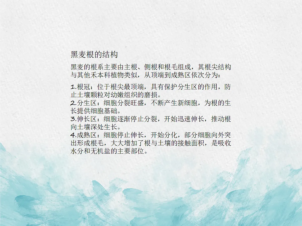 18060216第4页