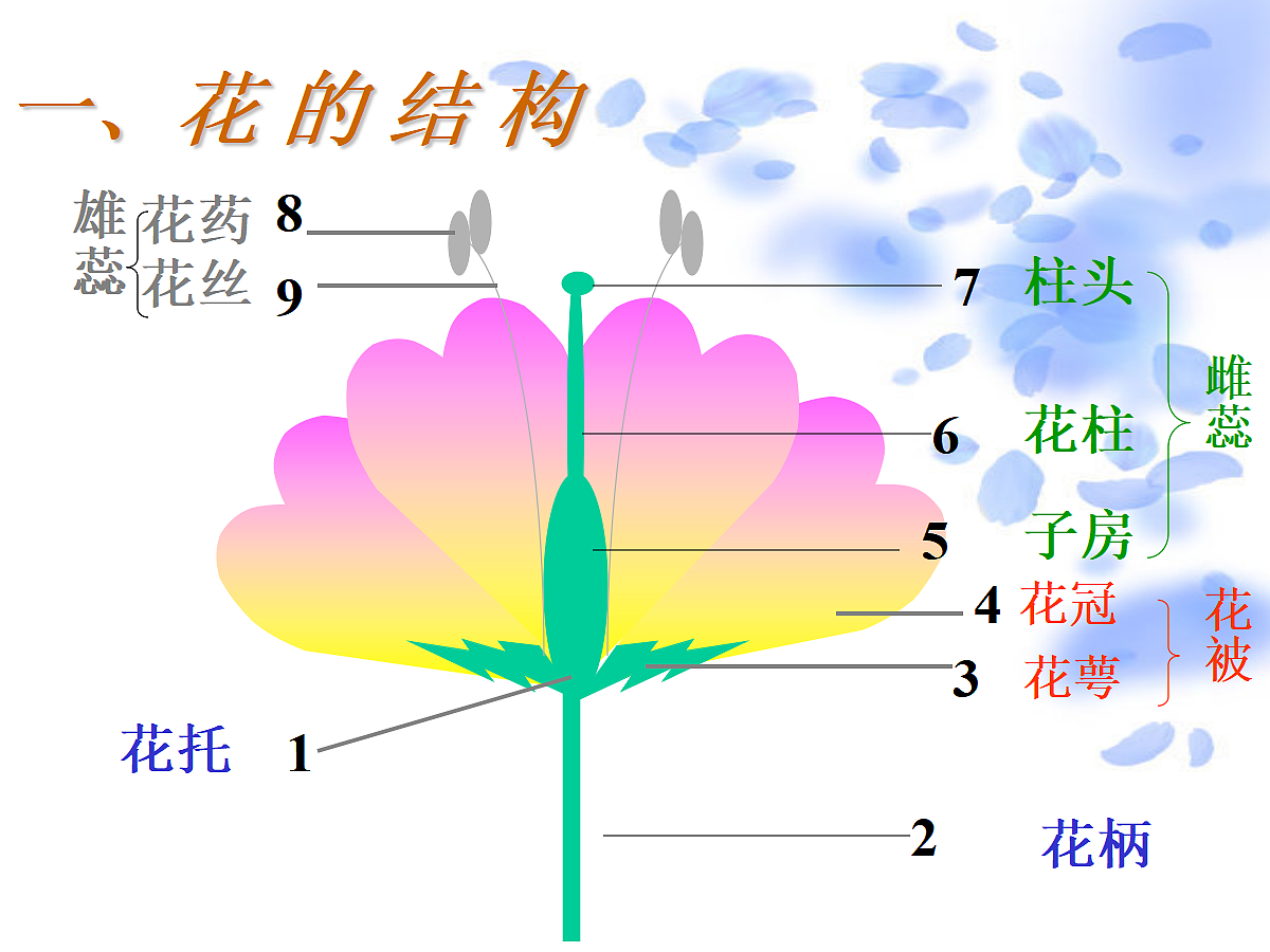 18060225第6页