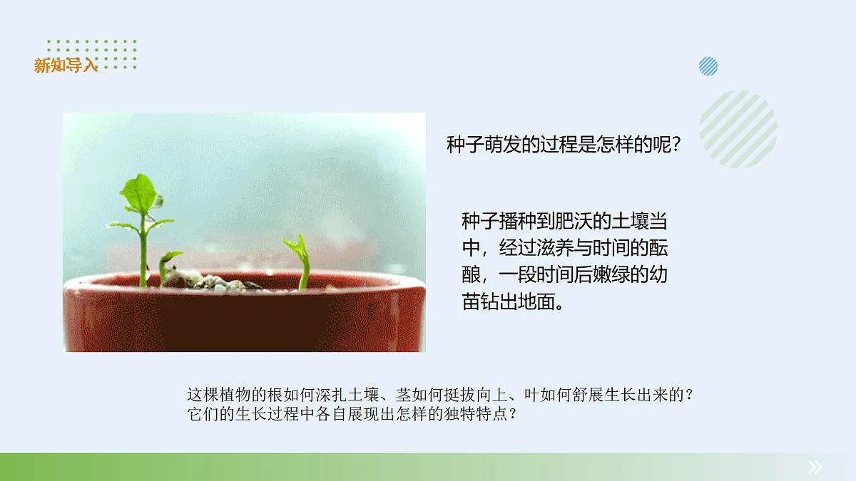 18060228第3页