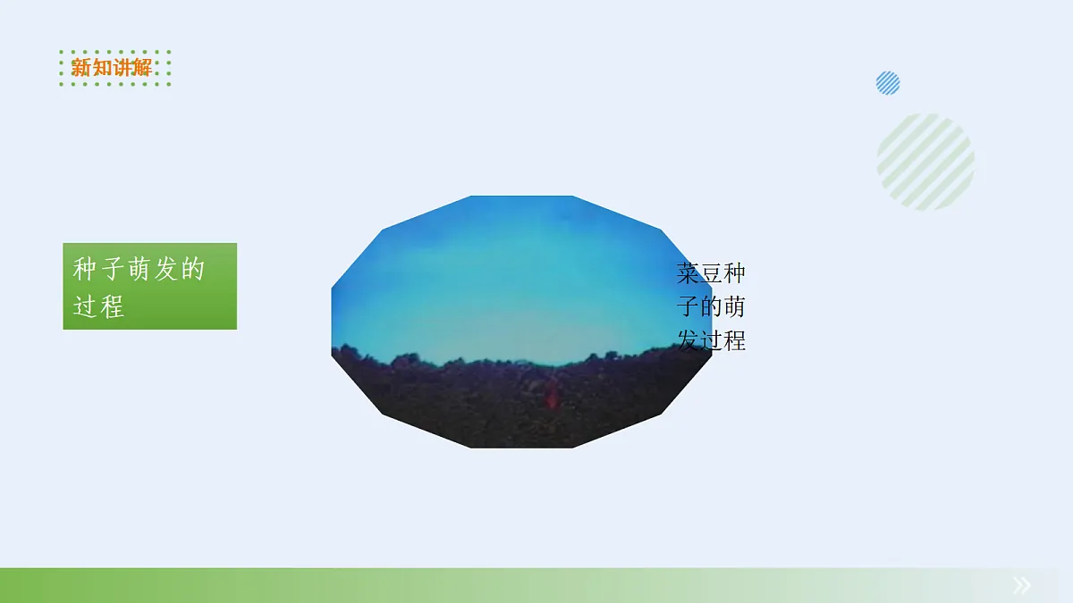 18060228第4页