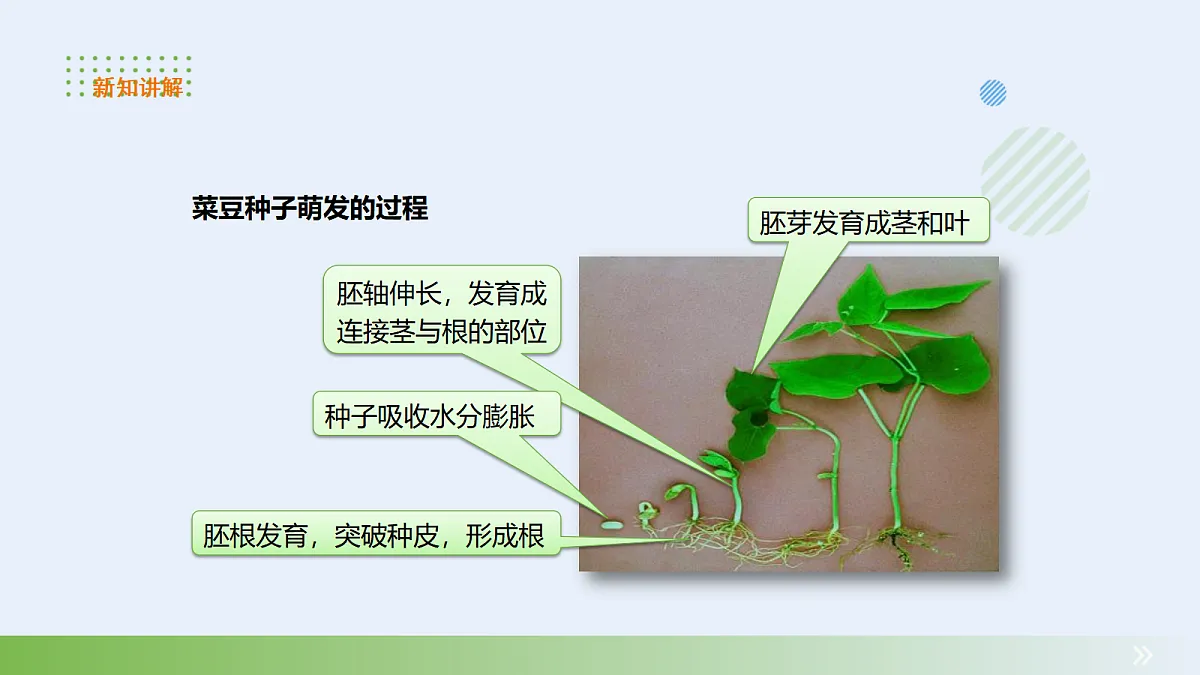 18060228第5页