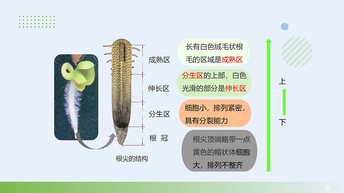 18060228第7页