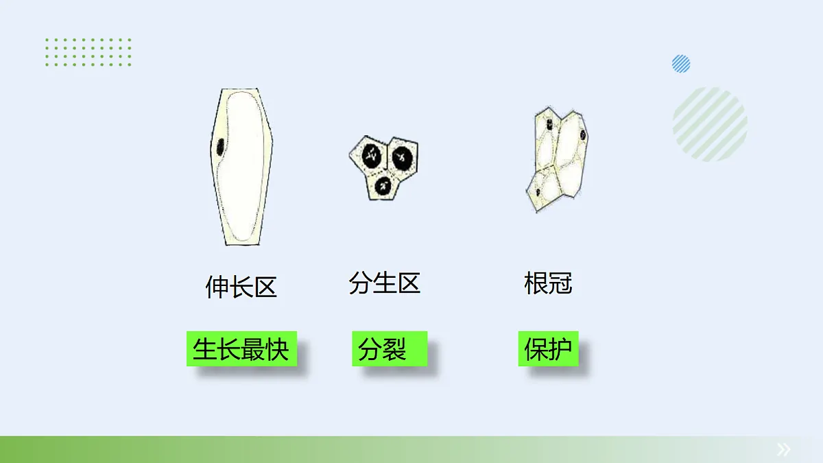 18060228第8页