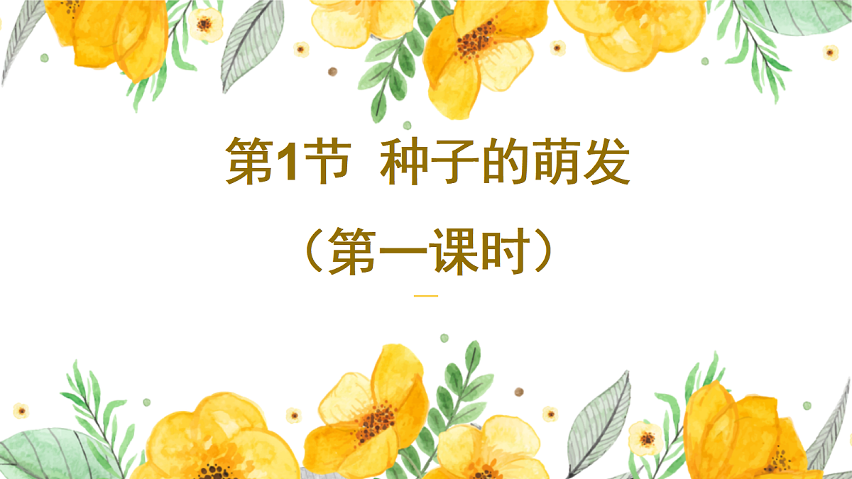 18060229第1页