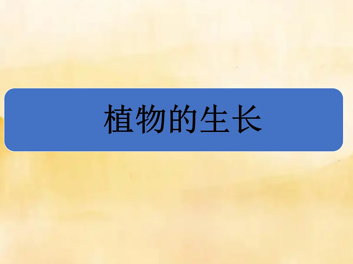 18060232第1页