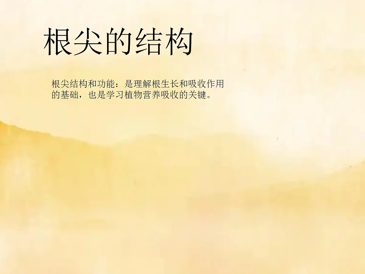 18060232第7页