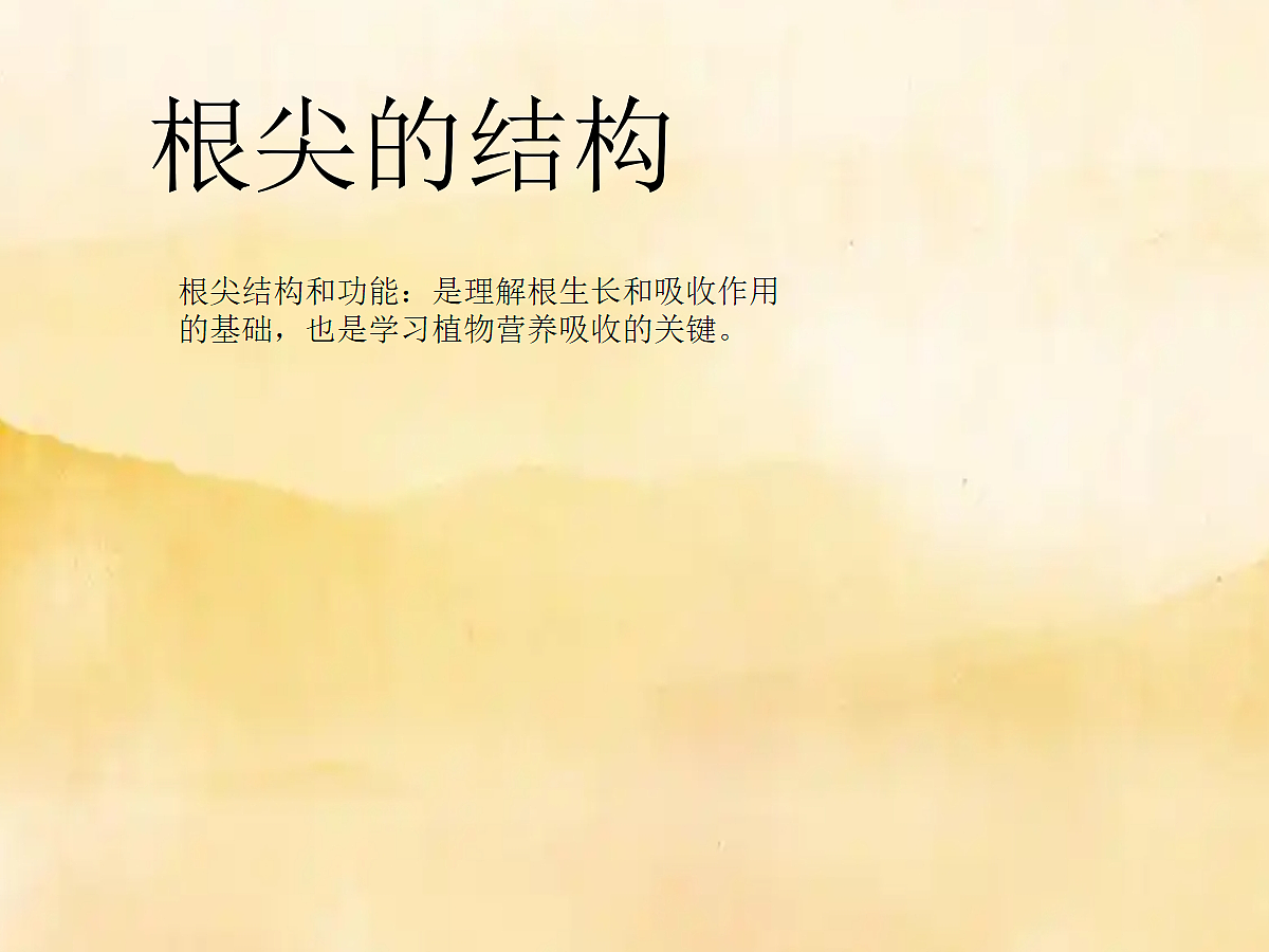 18060232第7页