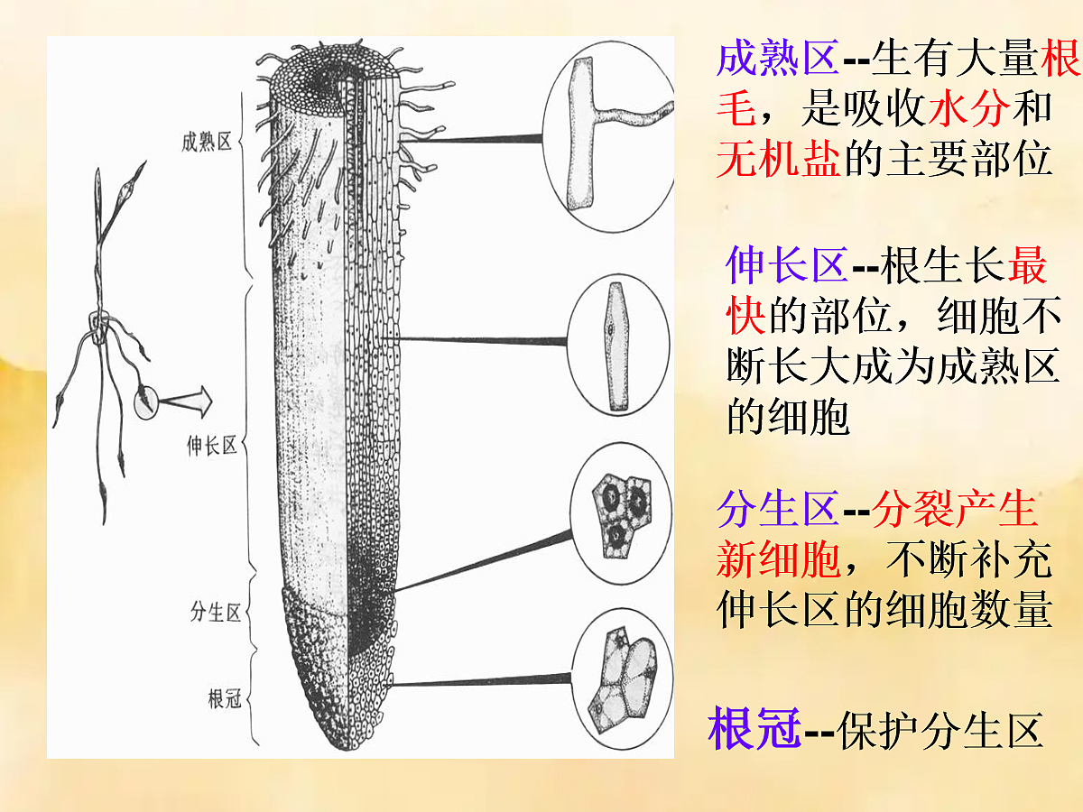 18060232第8页