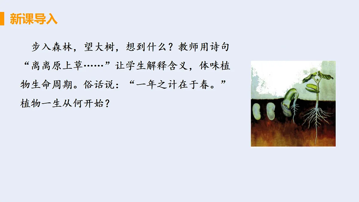 18060235第3页