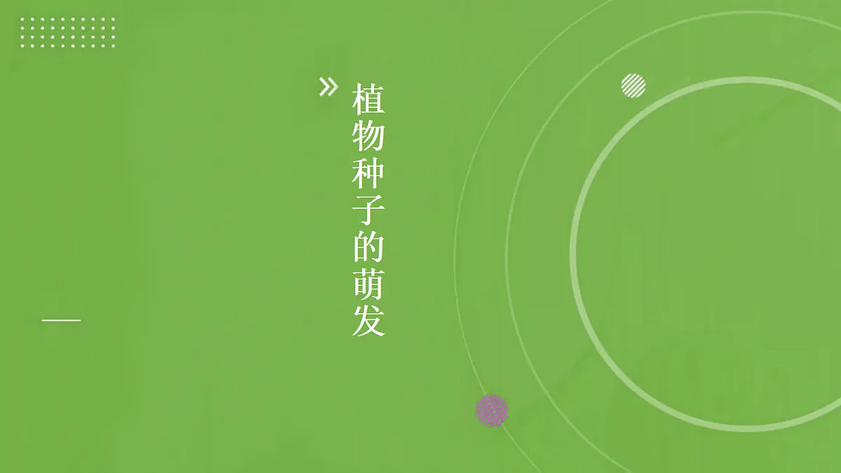 18060236第1页