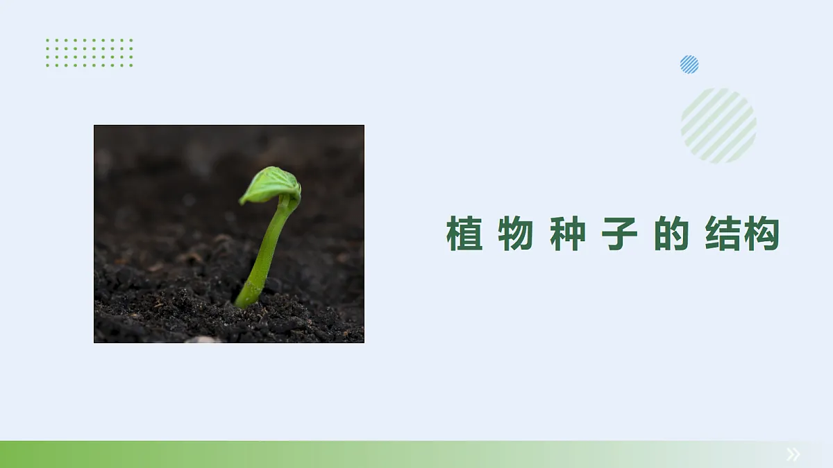 18060236第3页