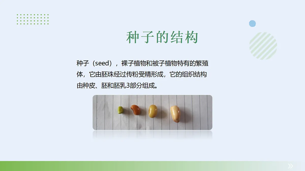 18060236第4页