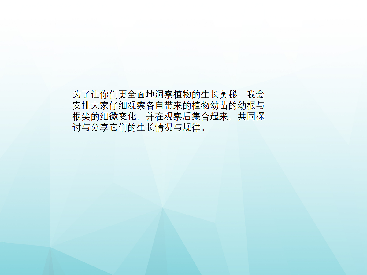 18060237第3页