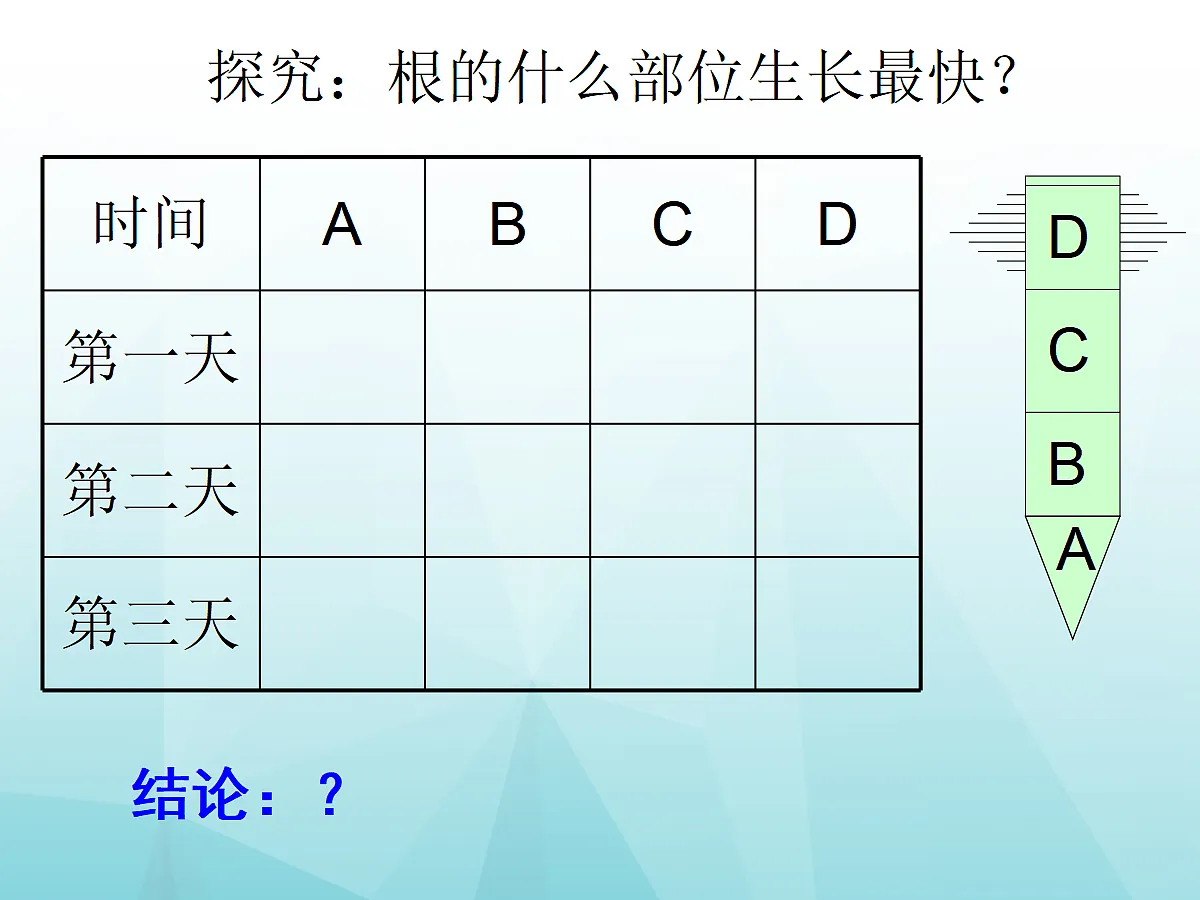 18060237第4页