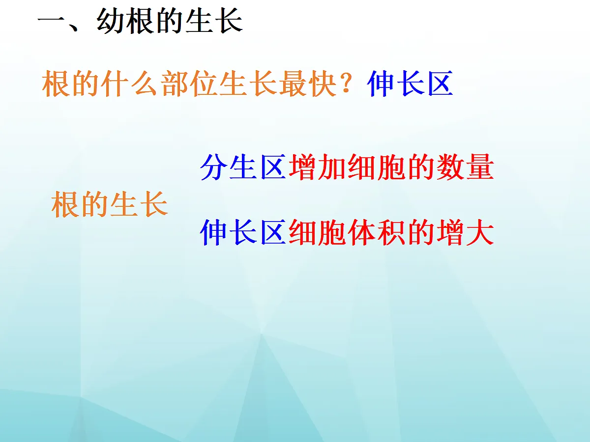 18060237第6页