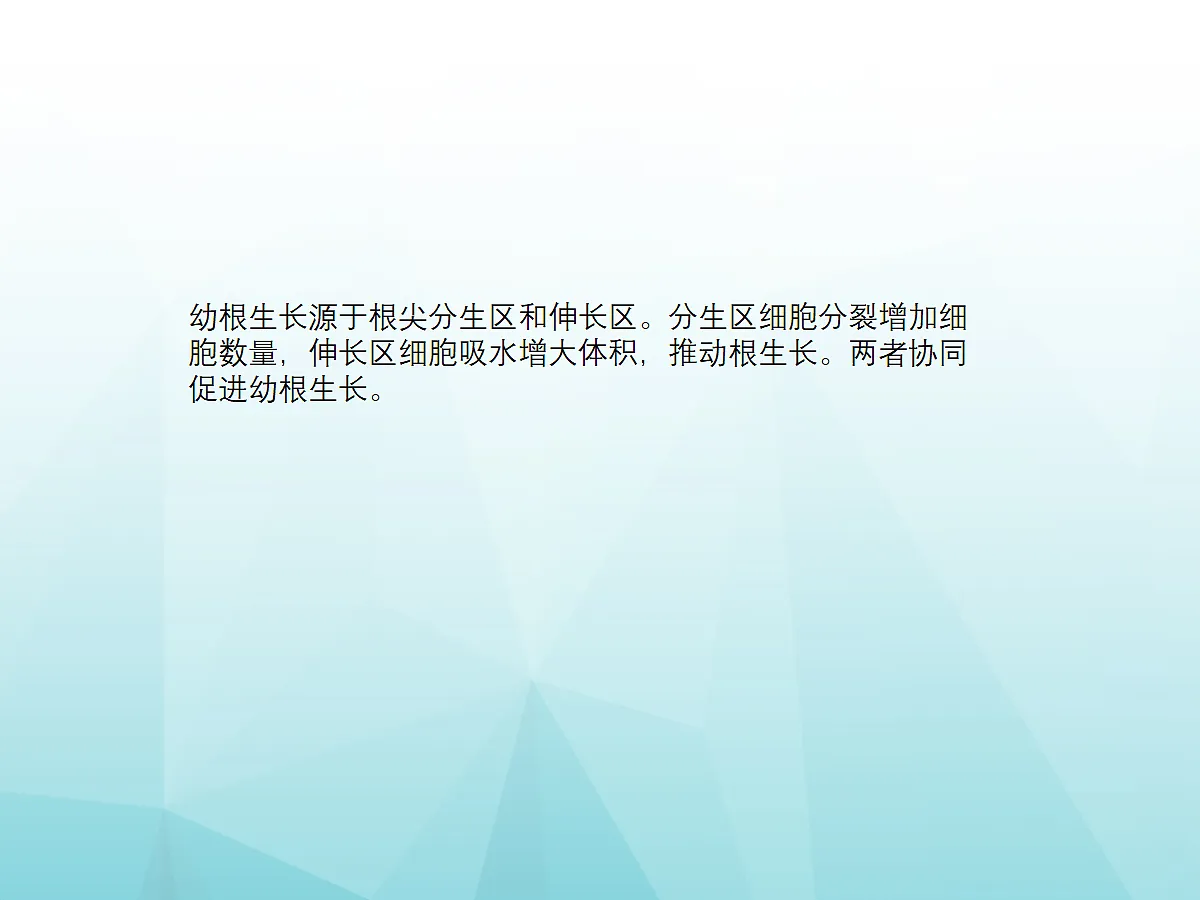18060237第7页