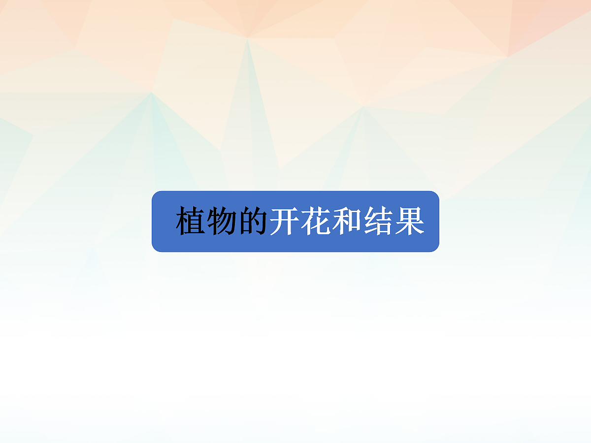 18060238第1页