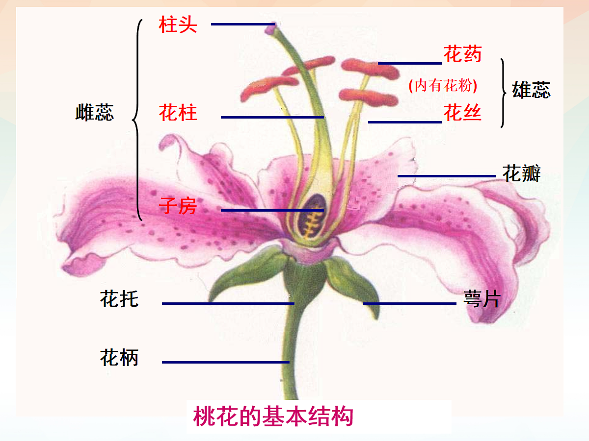 18060238第5页