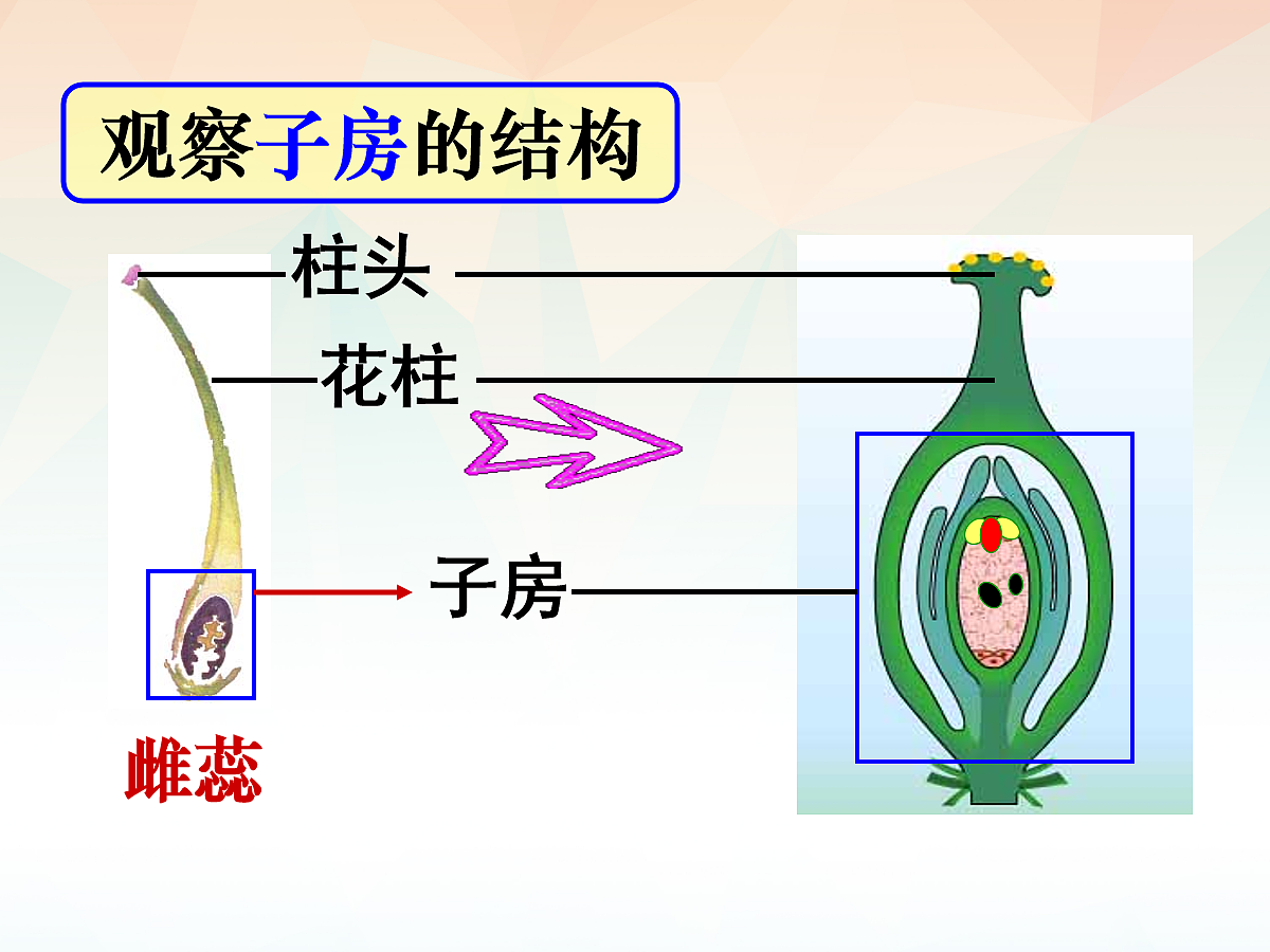 18060238第8页