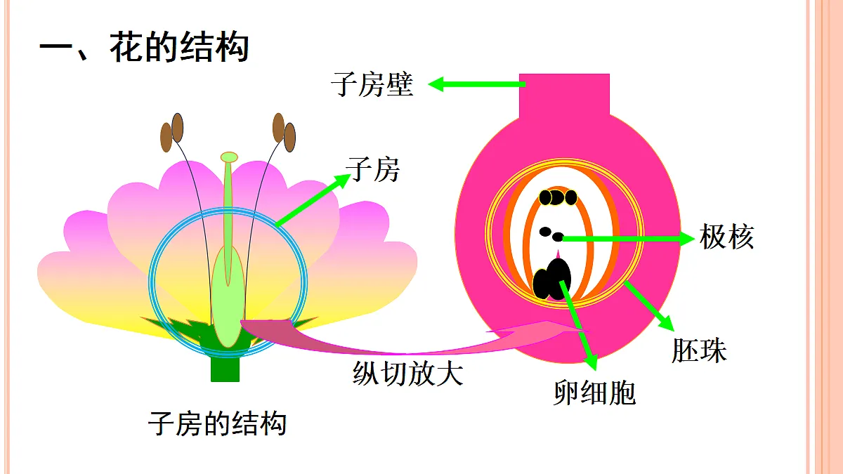 18060239第5页