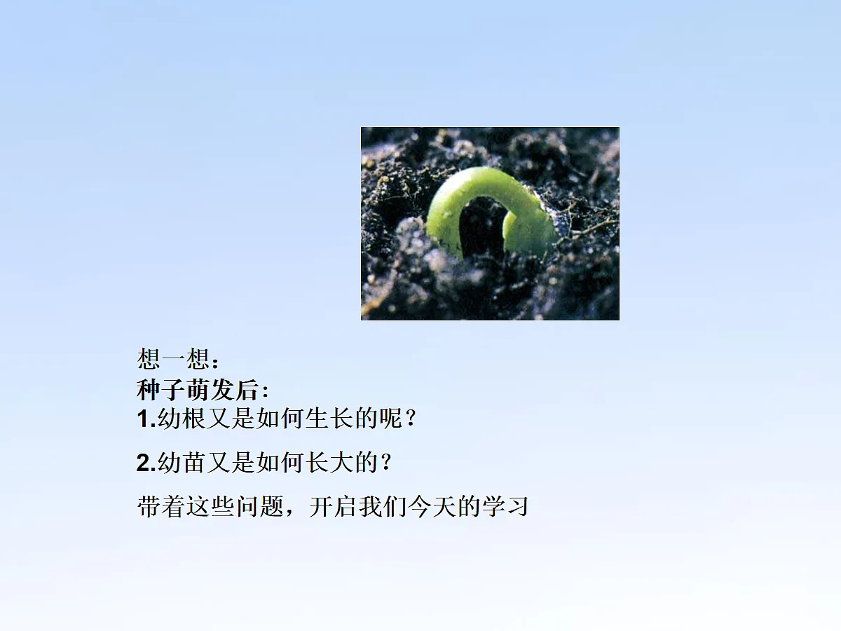 18060243第4页