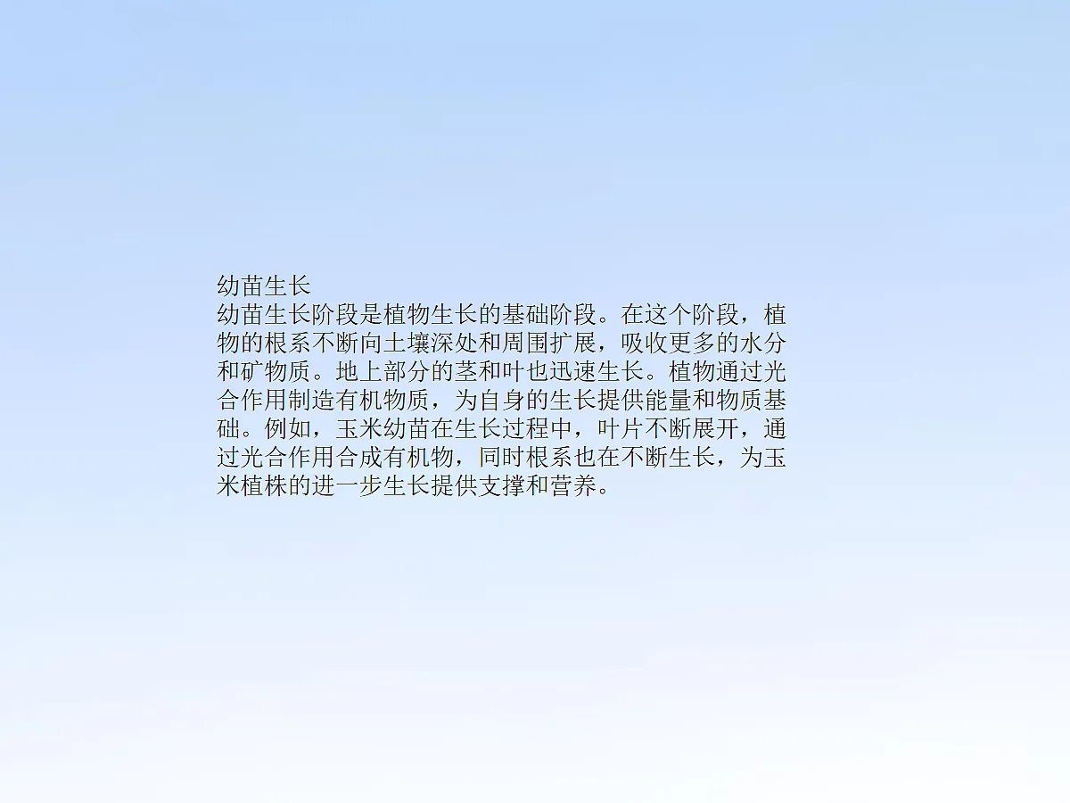 18060243第5页