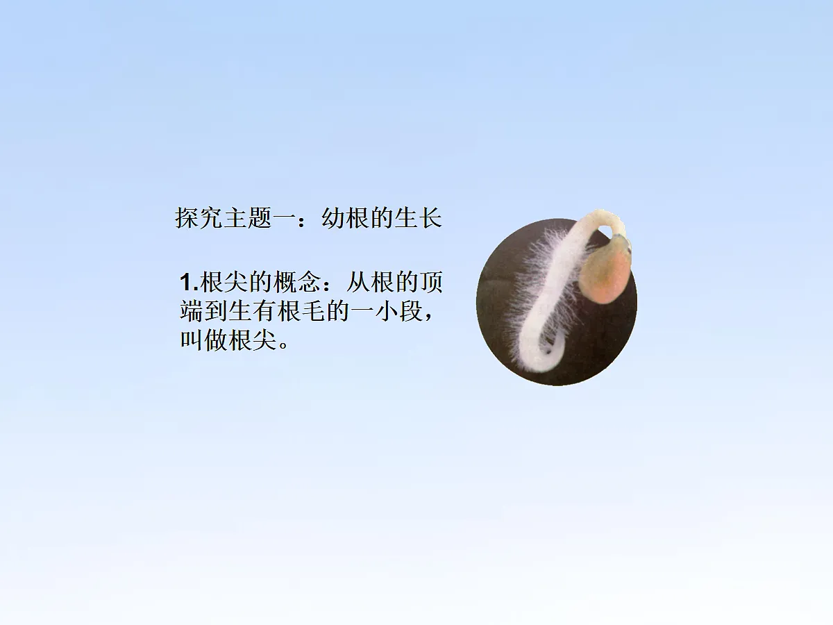 18060243第6页
