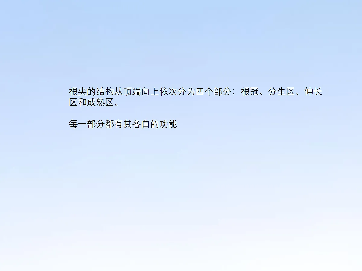 18060243第7页